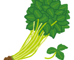 みつばの認知症予防効果