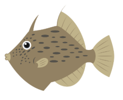 かわはぎに含まれている栄養素と認知症予防効果